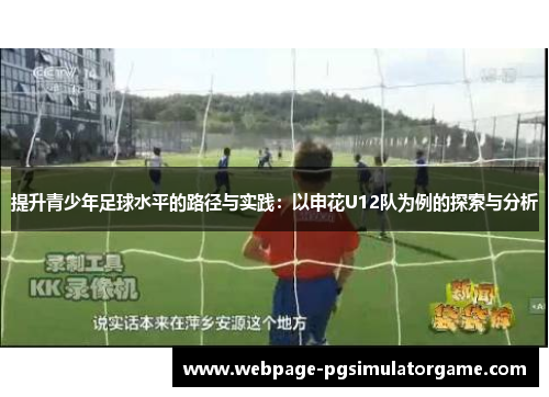 提升青少年足球水平的路径与实践：以申花U12队为例的探索与分析