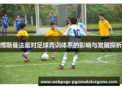 博斯曼法案对足球青训体系的影响与发展探析