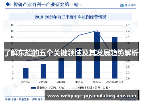 了解东超的五个关键领域及其发展趋势解析