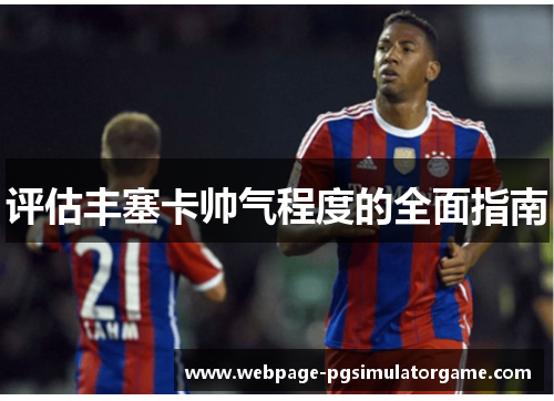 评估丰塞卡帅气程度的全面指南