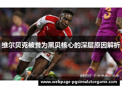 维尔贝克被誉为黑贝核心的深层原因解析