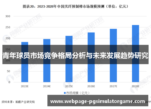 青年球员市场竞争格局分析与未来发展趋势研究
