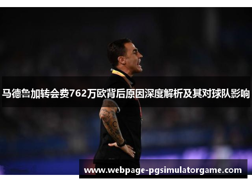 马德鲁加转会费762万欧背后原因深度解析及其对球队影响