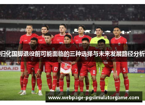 归化国脚退役前可能面临的三种选择与未来发展路径分析