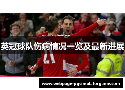 英冠球队伤病情况一览及最新进展