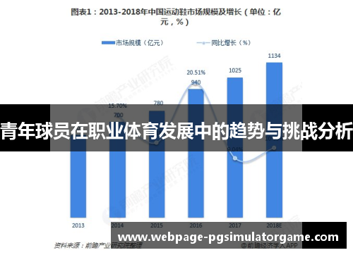 青年球员在职业体育发展中的趋势与挑战分析